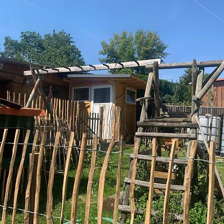Blockhausvermietung "Vor Dem Groeperntor" Quedlinburg Zewnętrze zdjęcie