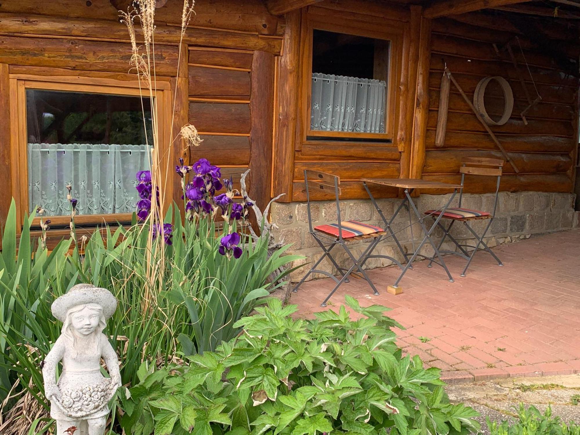 Blockhausvermietung "Vor Dem Groeperntor" Quedlinburg Zewnętrze zdjęcie