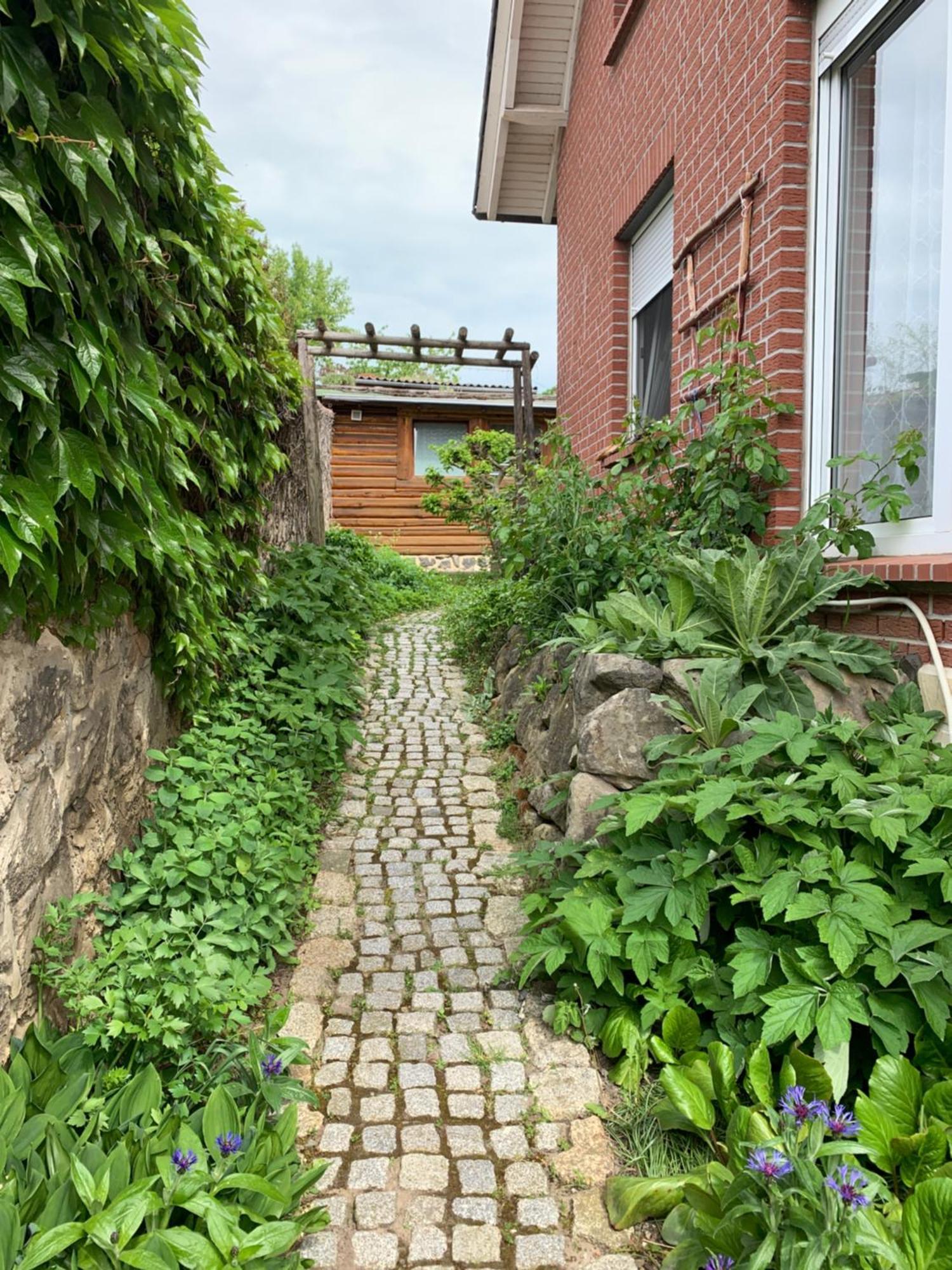 Blockhausvermietung "Vor Dem Groeperntor" Quedlinburg Zewnętrze zdjęcie